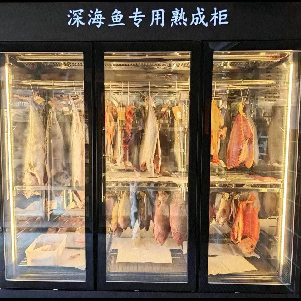 南联NANLIAN熟成柜熟成库高温牛排炉