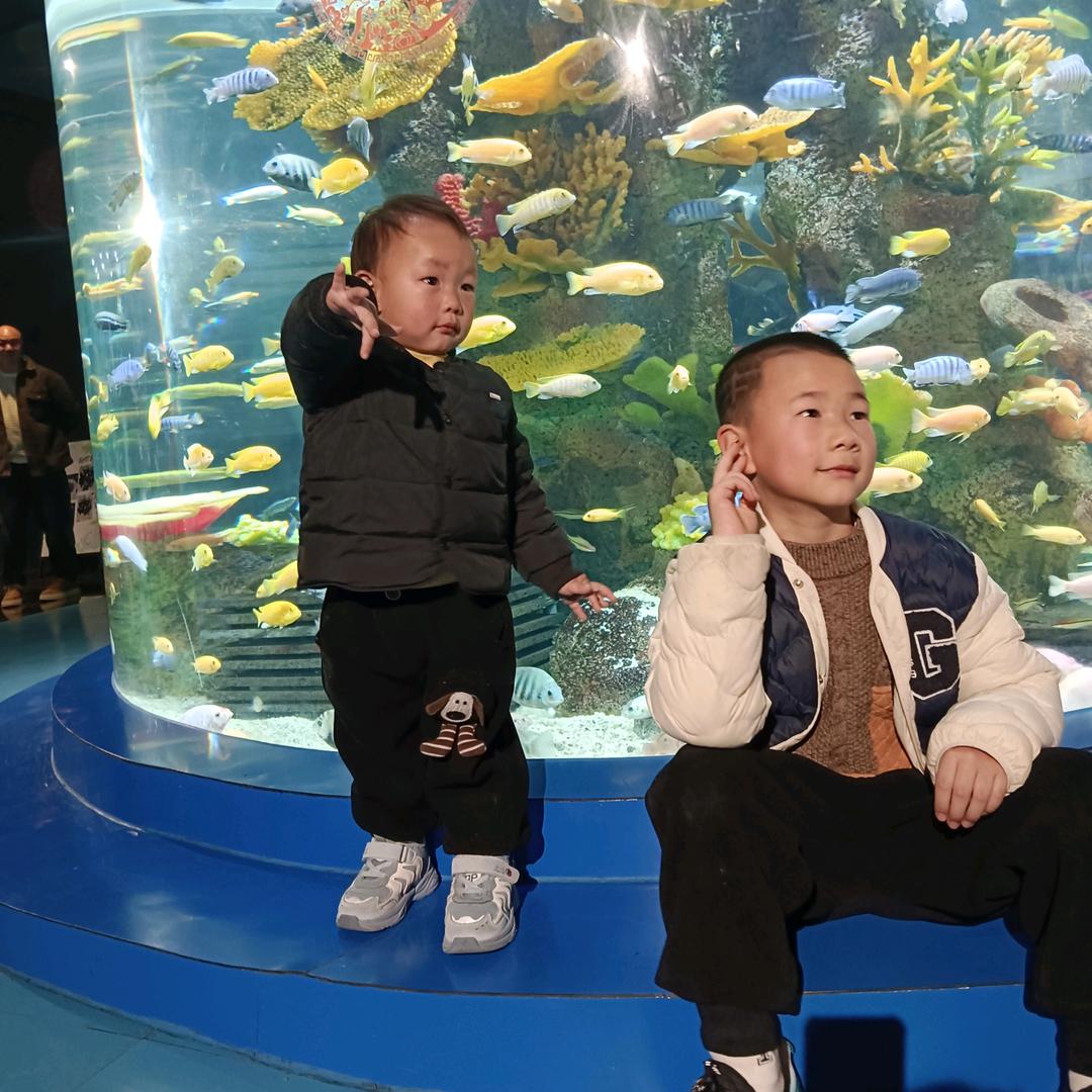 墨点星芒🤝得力文具