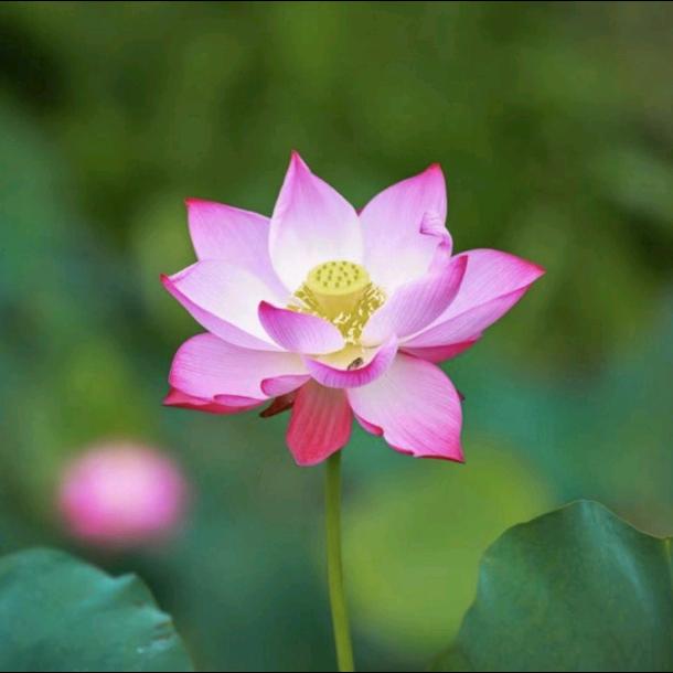 为了生活必须努力💪