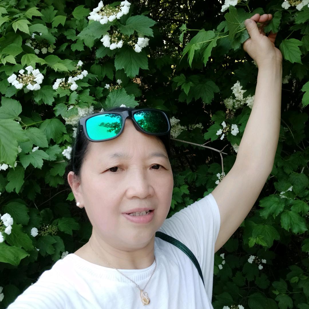 开心梅梅