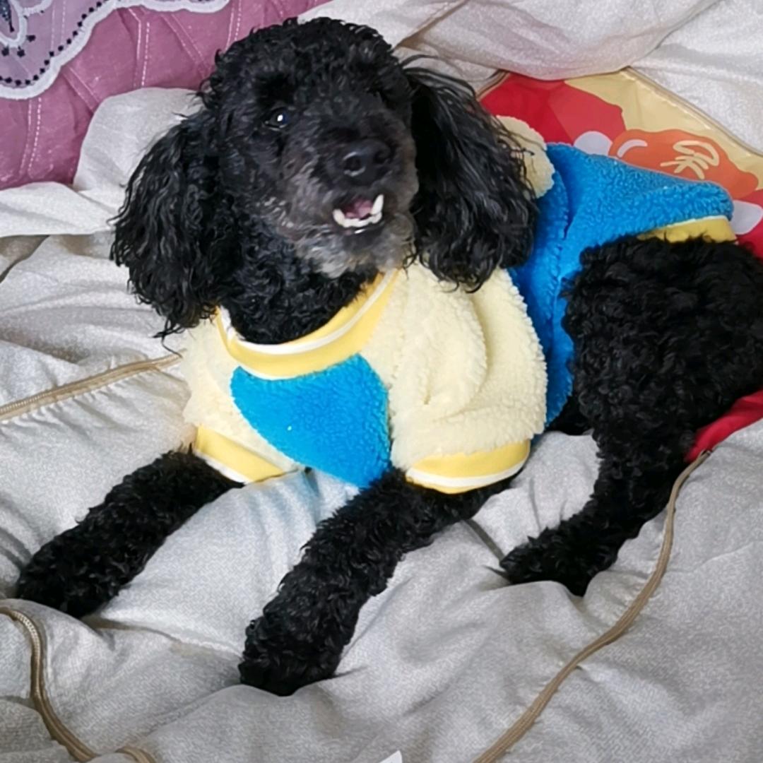 一生无悔🇨🇳