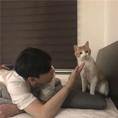 吃不了百家