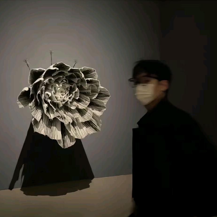 凤九