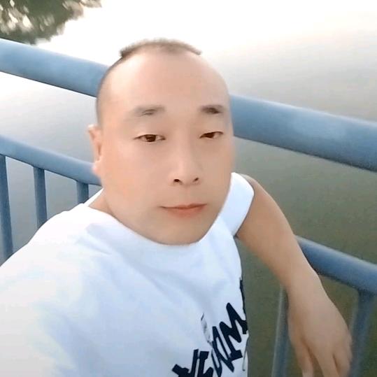 无爱一生轻