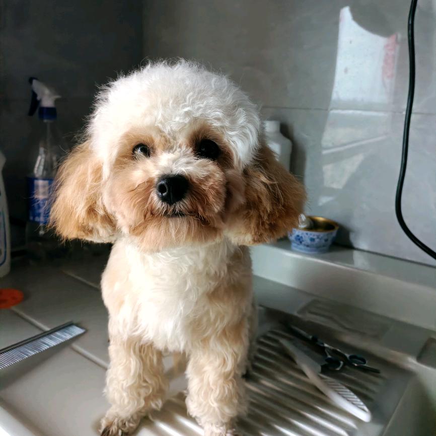 果果呀❤️⁴¹³