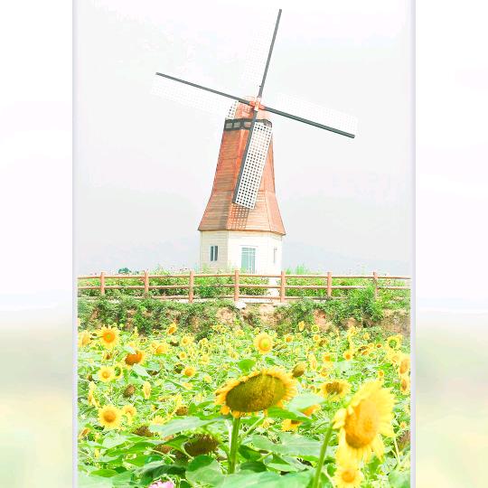 💫小冯💫
