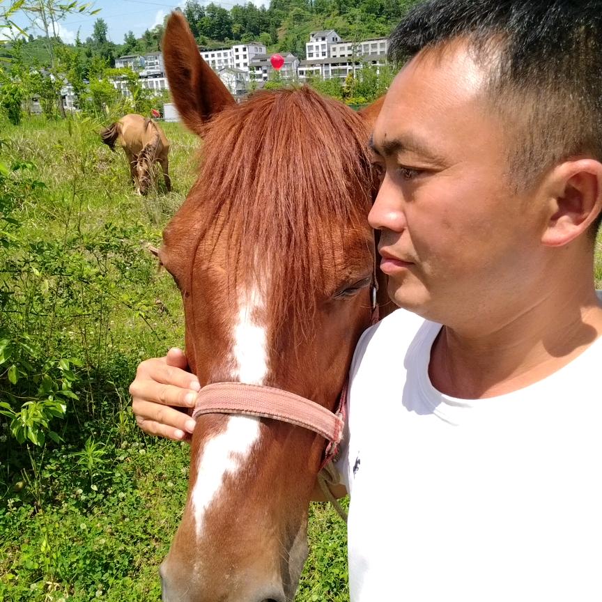 玉龙谷骑马场兵哥