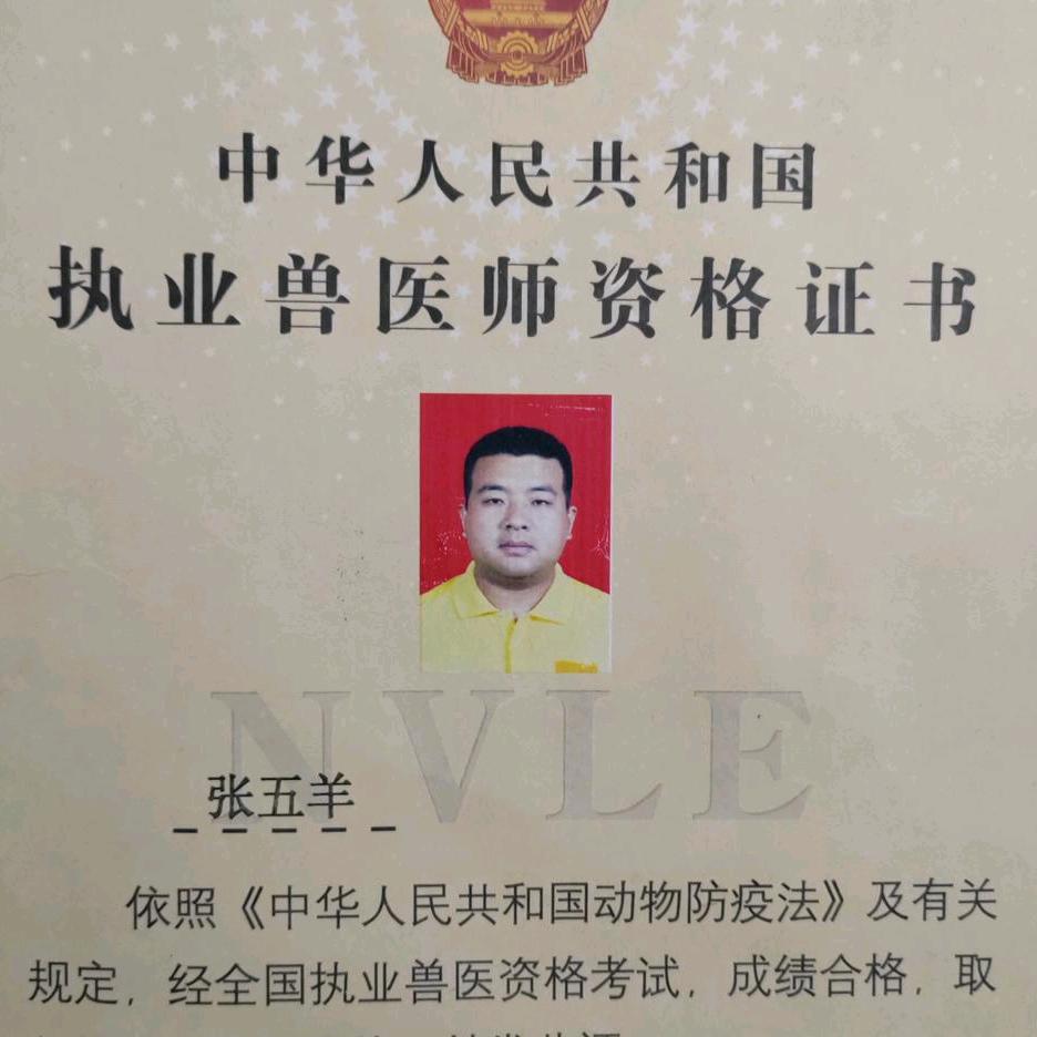 执业兽医师张老师