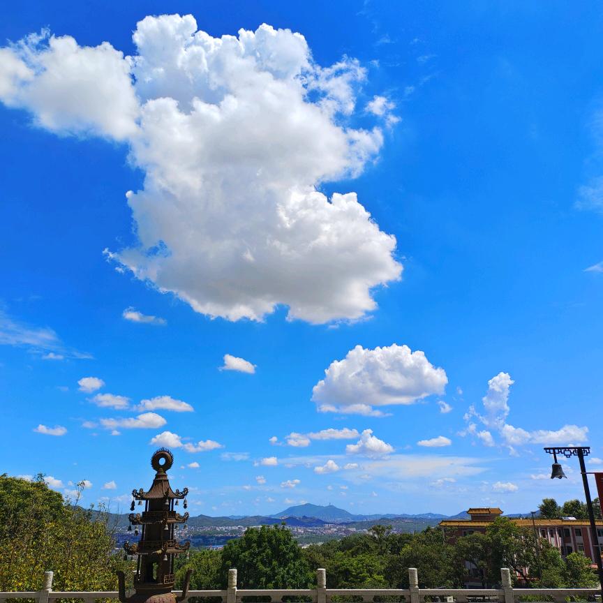 十有八九好物分享