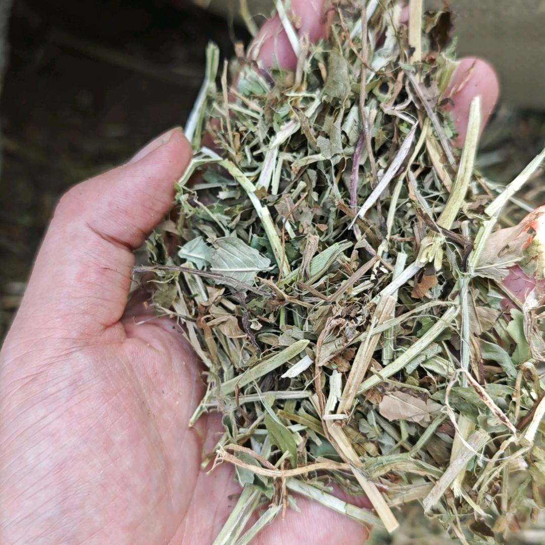 旺旺牧草