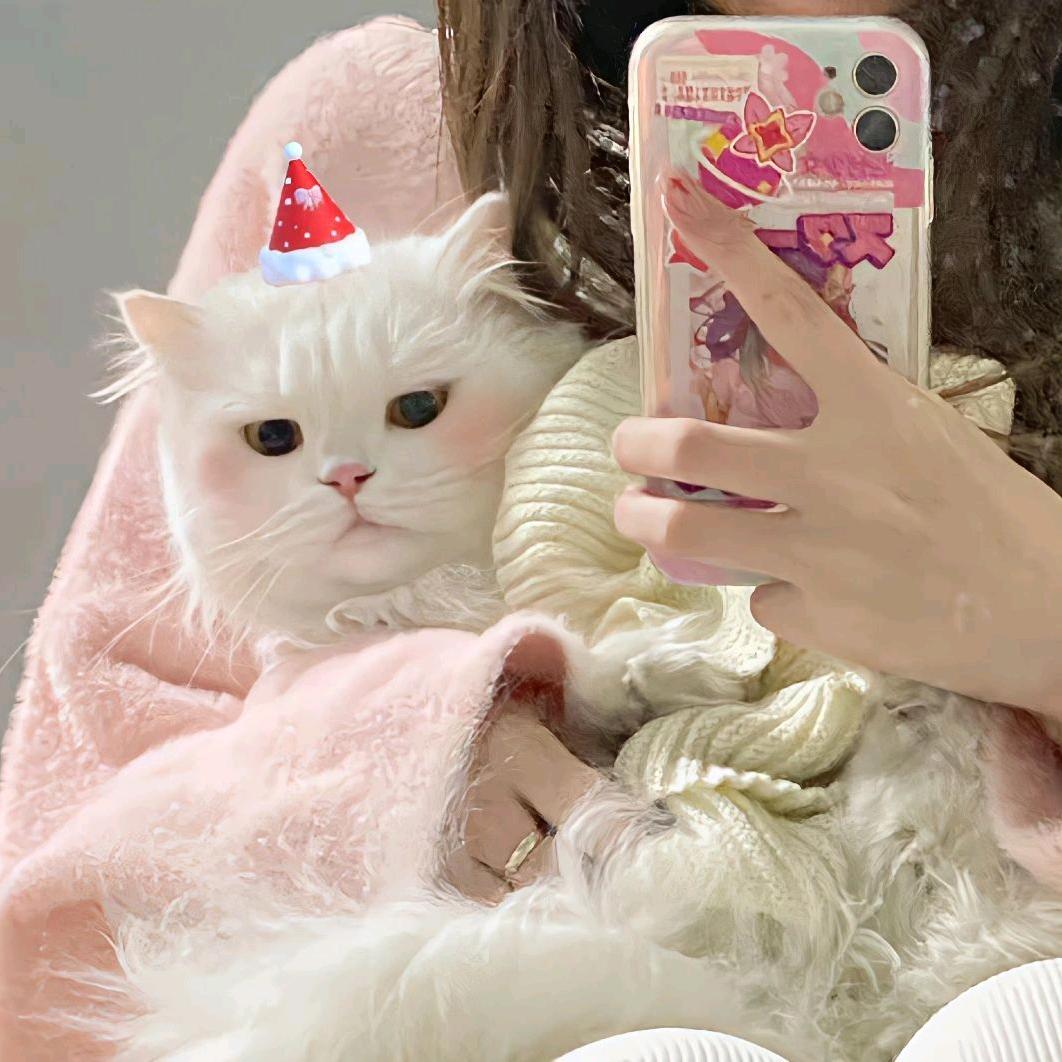 小肥狗.