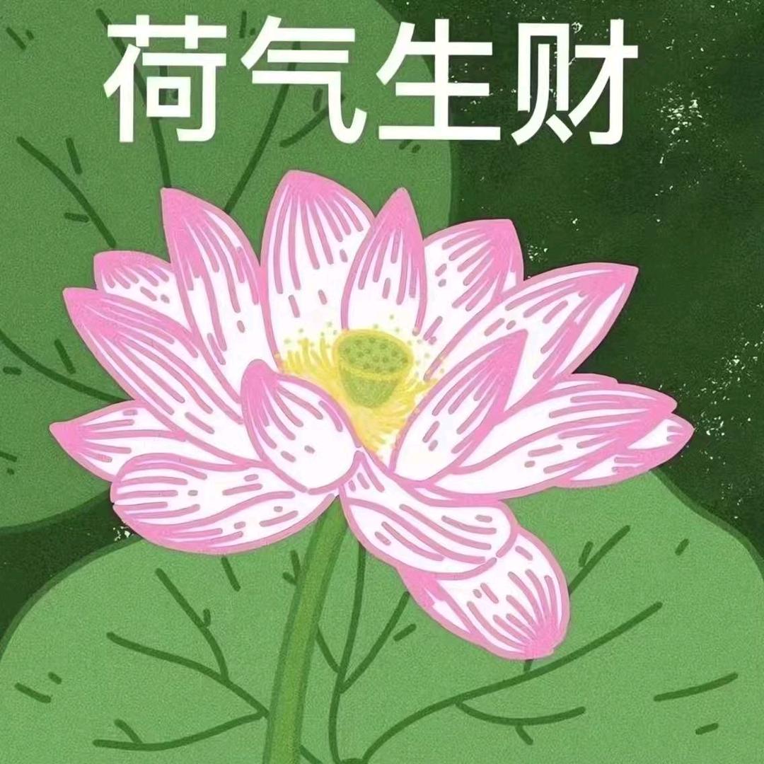 冰雨