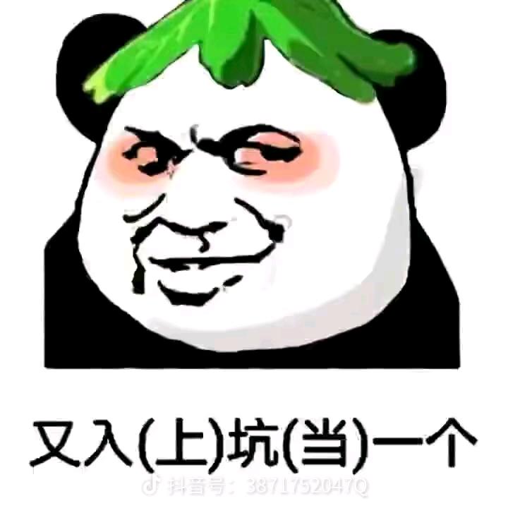 hc白也