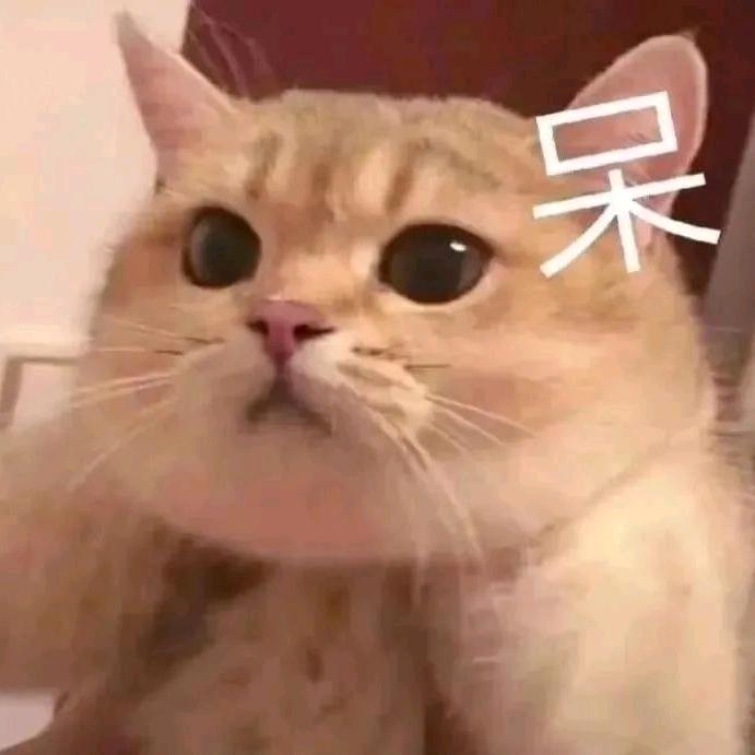 我只是一个破看别人谈恋爱的