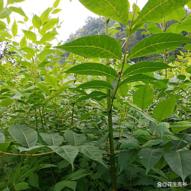 改变一切
