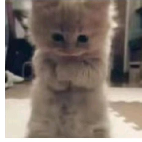 爱听歌的老处男