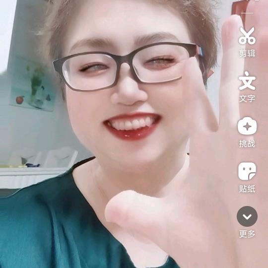 美丽的凤