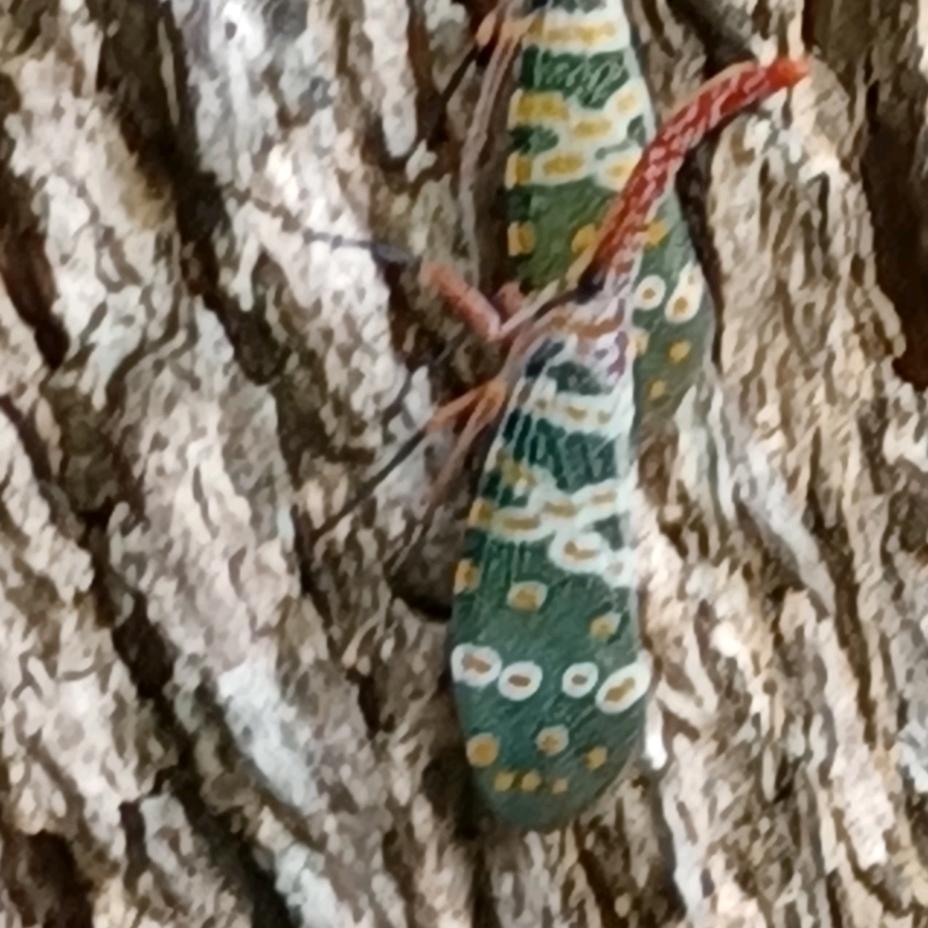 我命由我不由天。