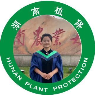 中方县植保站