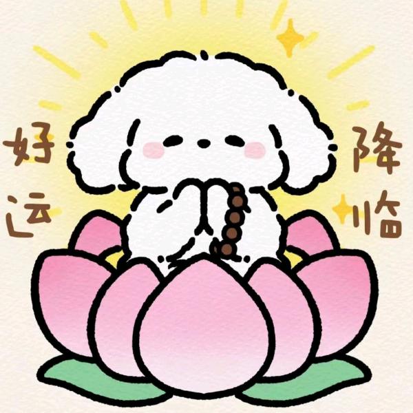 塔罗🔮暮雪