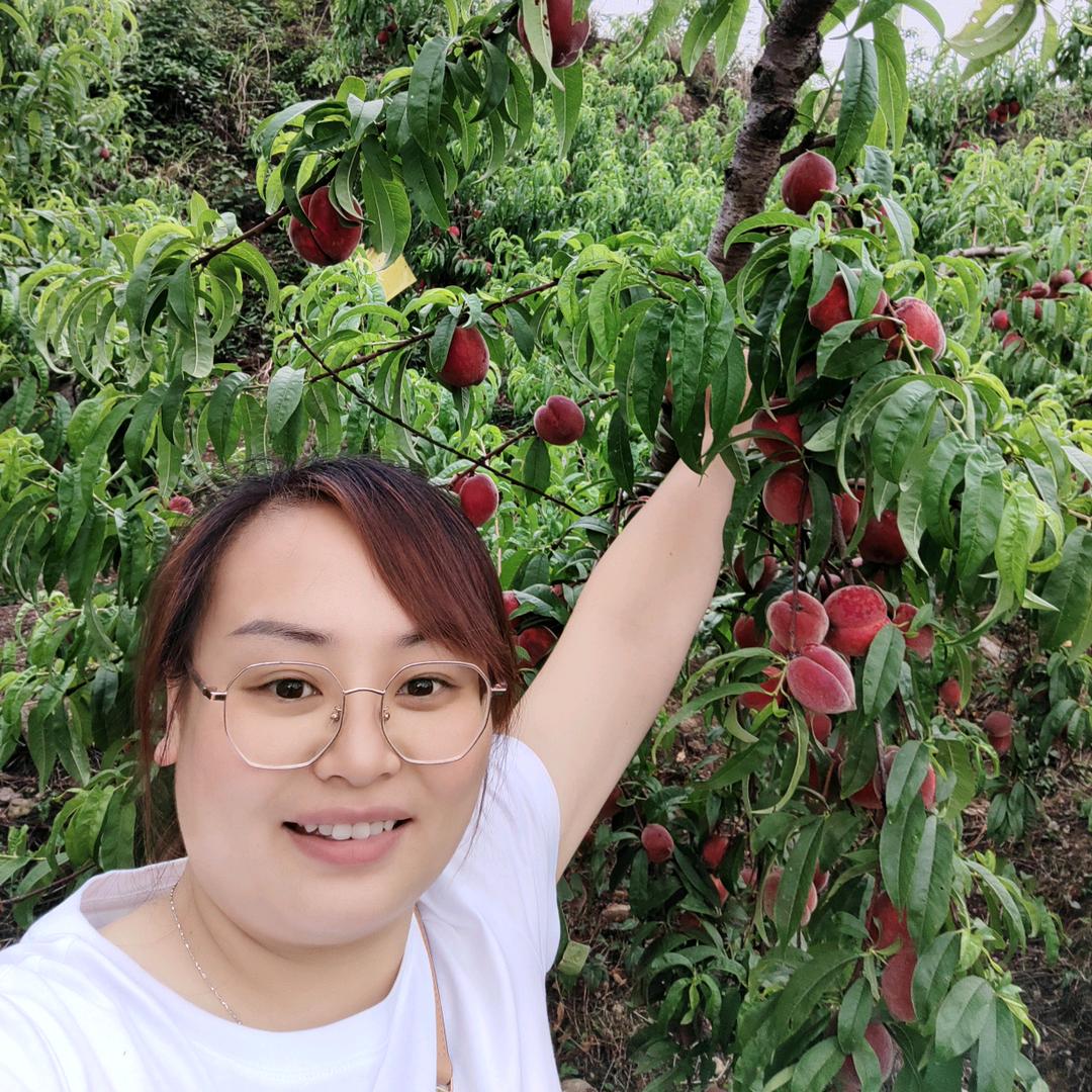 泸县大都汇厨房电器