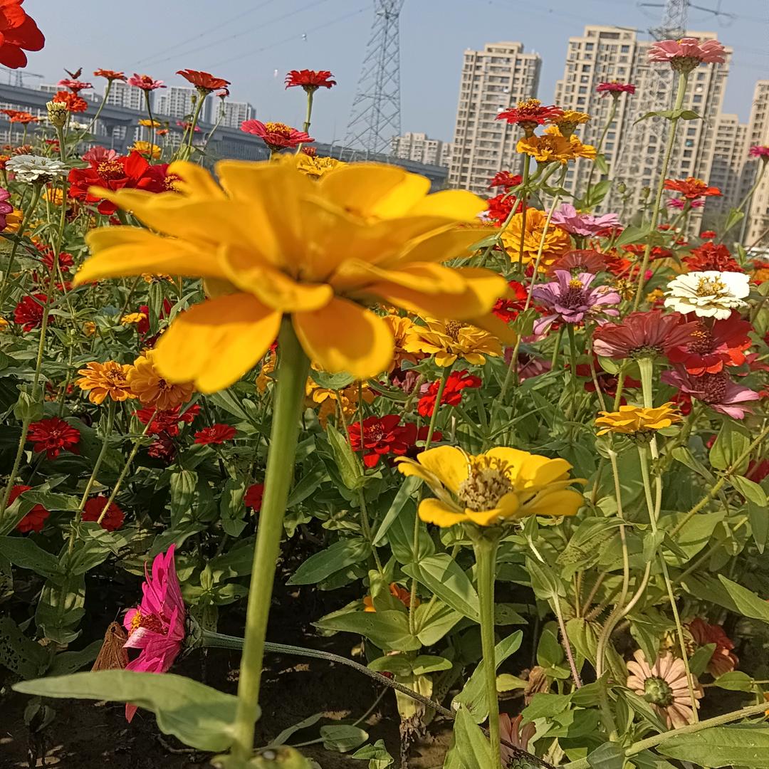 无聊的时候看抖音