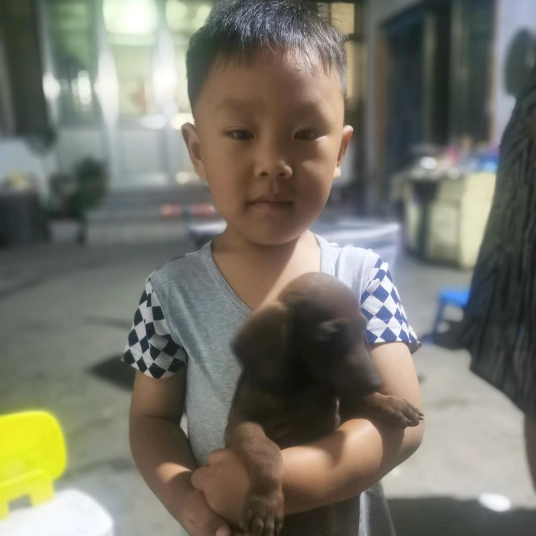 物换星移几度秋