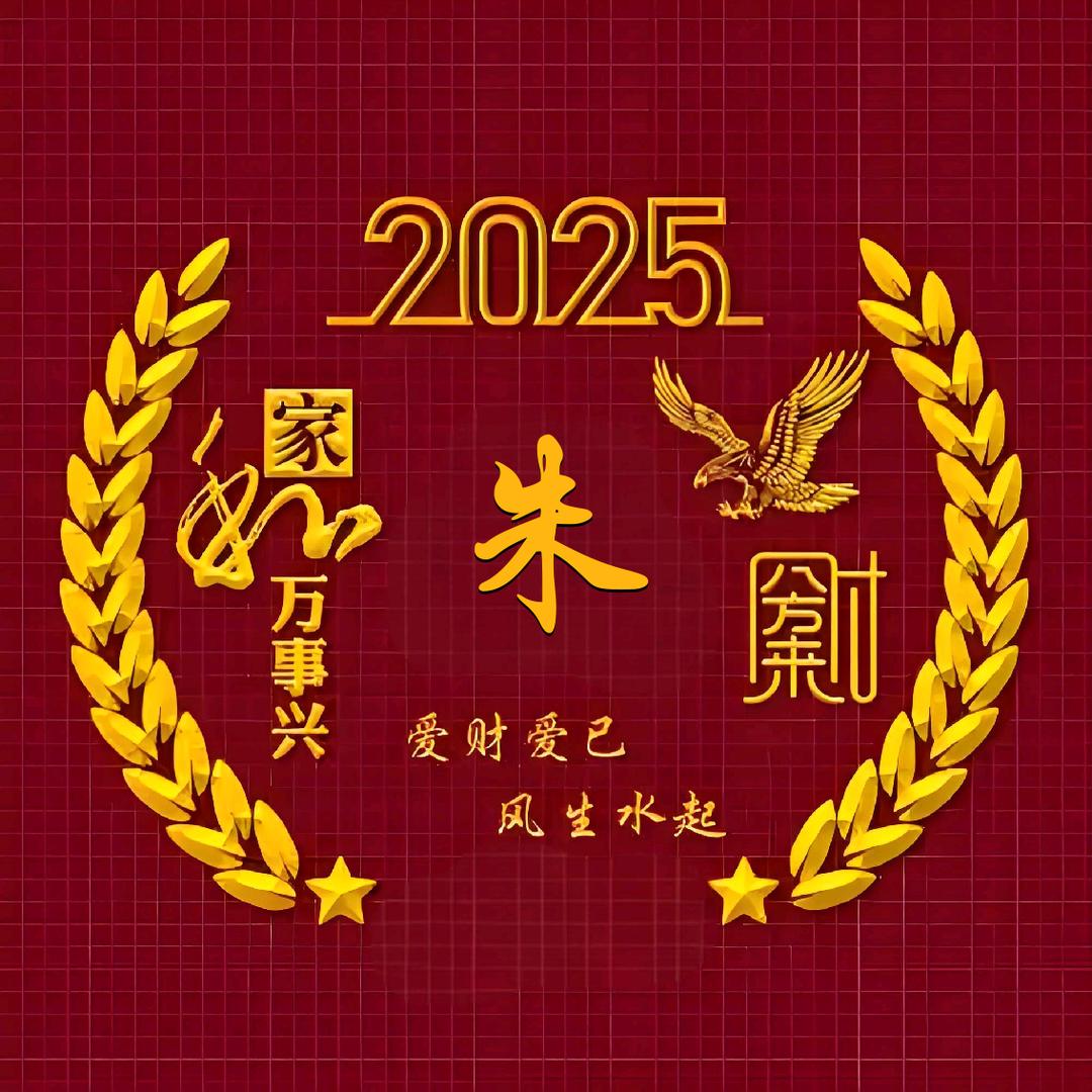 农村老朱