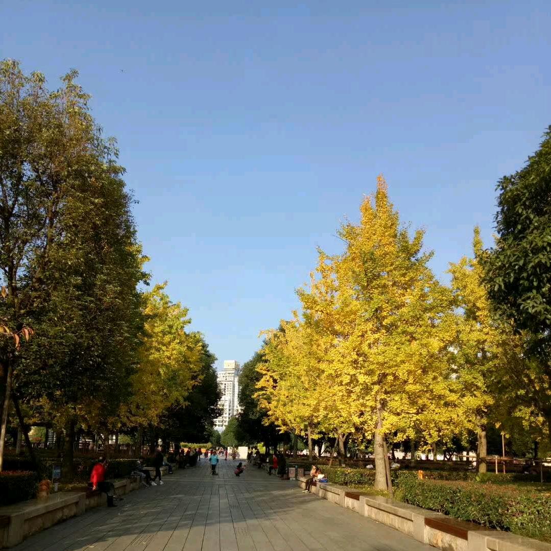 音乐小粉丝