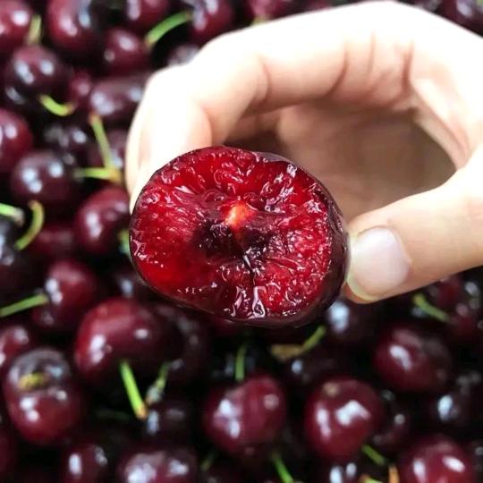 沙依巴克区文化宫路龙夫果园水果店