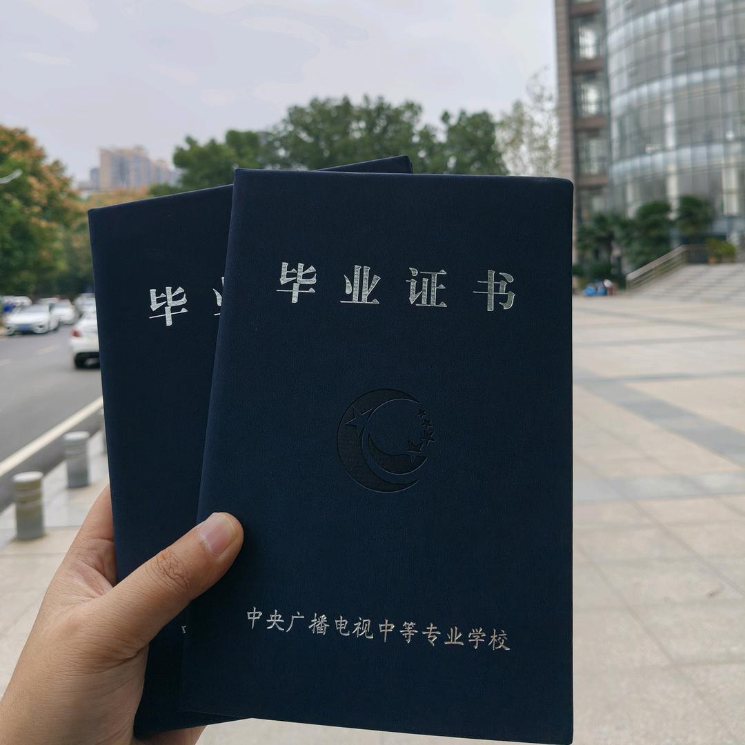 电中咨询