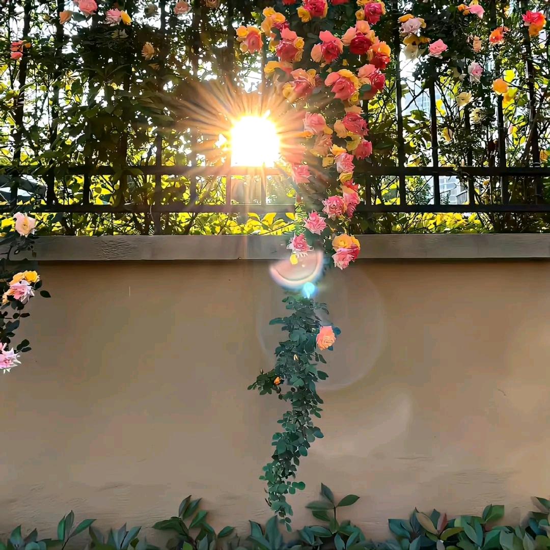 ﹏ㄨ✨家有儿女😃ヾ