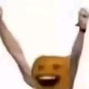 不吃香菜（摆烂版）