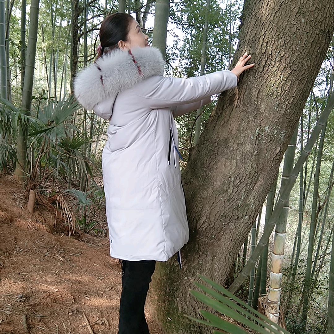 @枫叶霞美