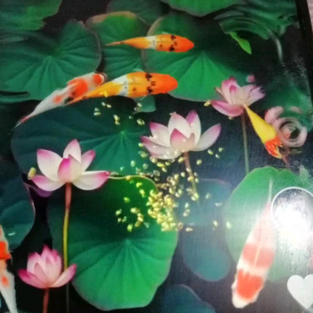 时来运转🔥🔥