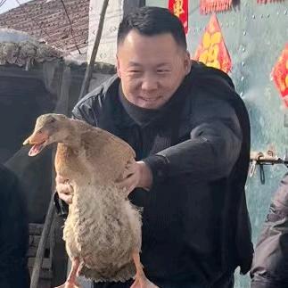 @我和大乐的日常