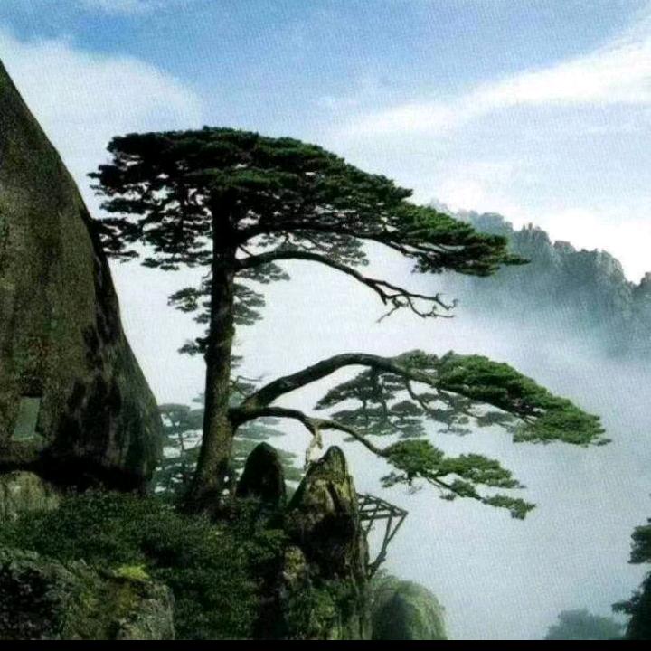 黄昏的地平线