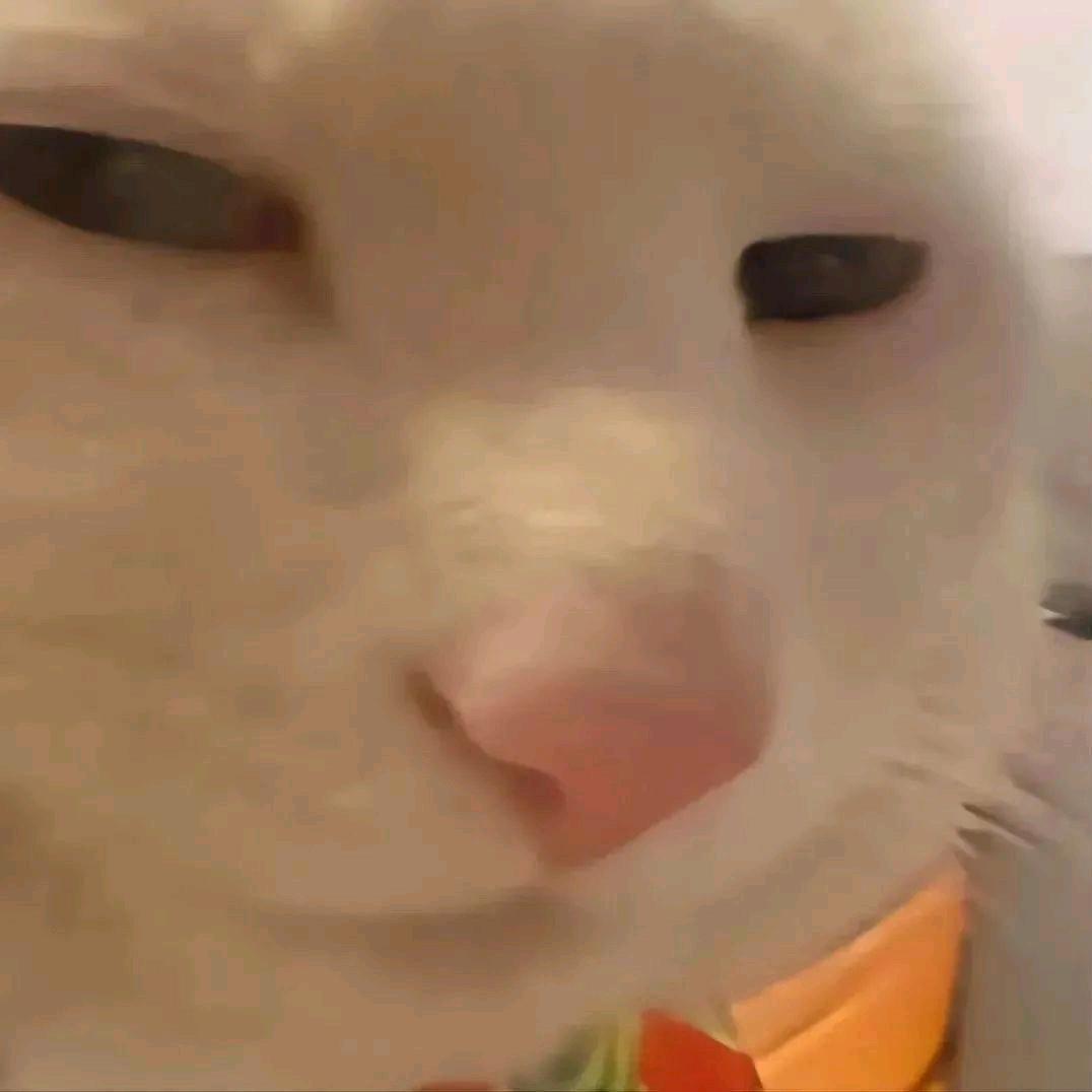 我才不玩抽象呢