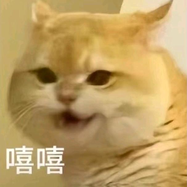 ♥南殇♛