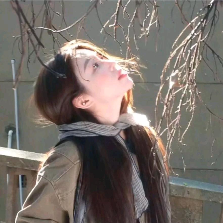 细熙西雨
