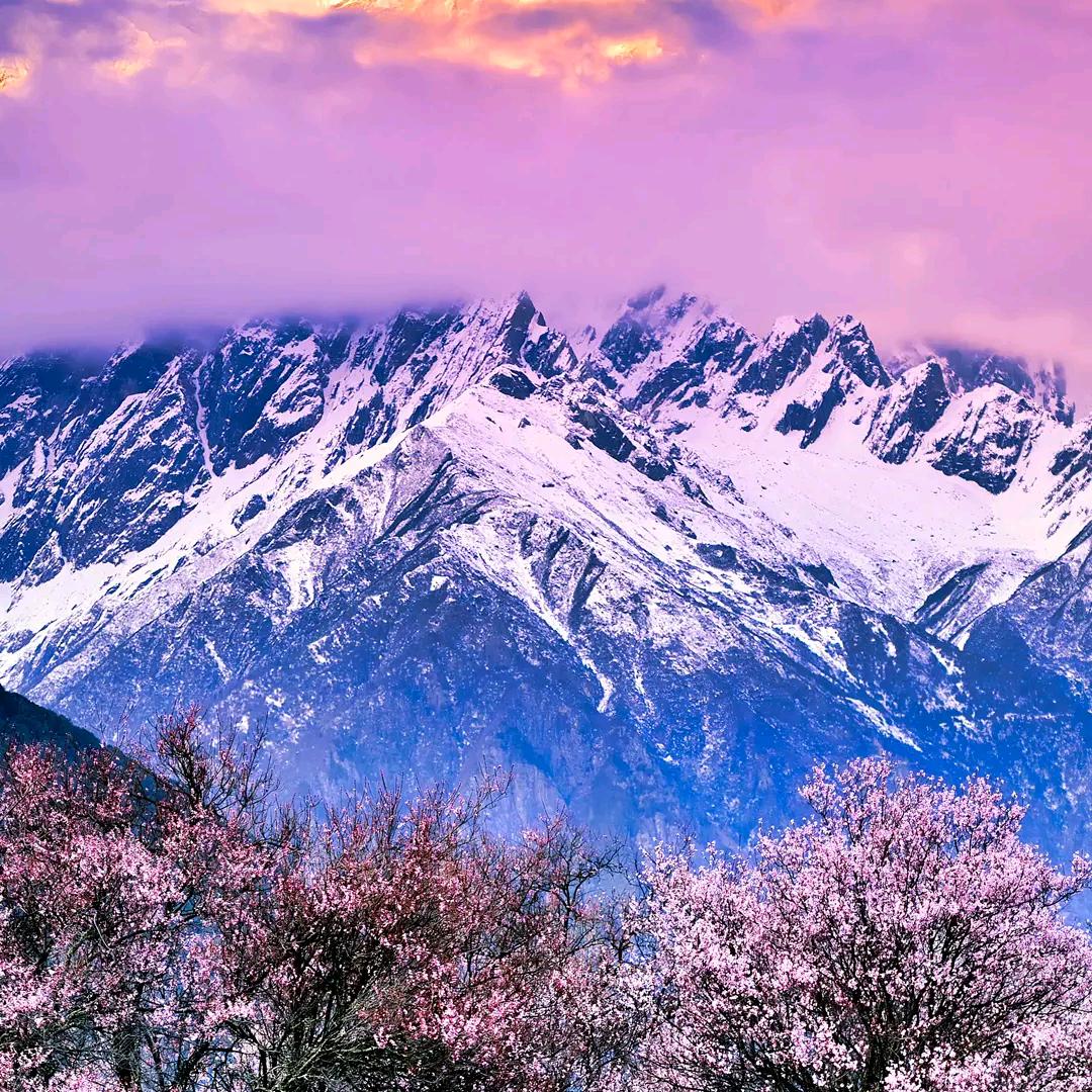 Dins迪尼莎—东哥