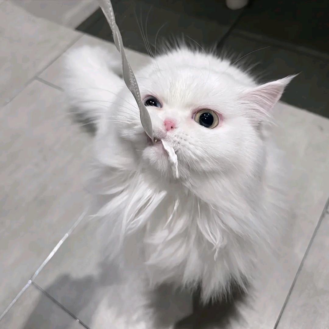 一响贪欢
