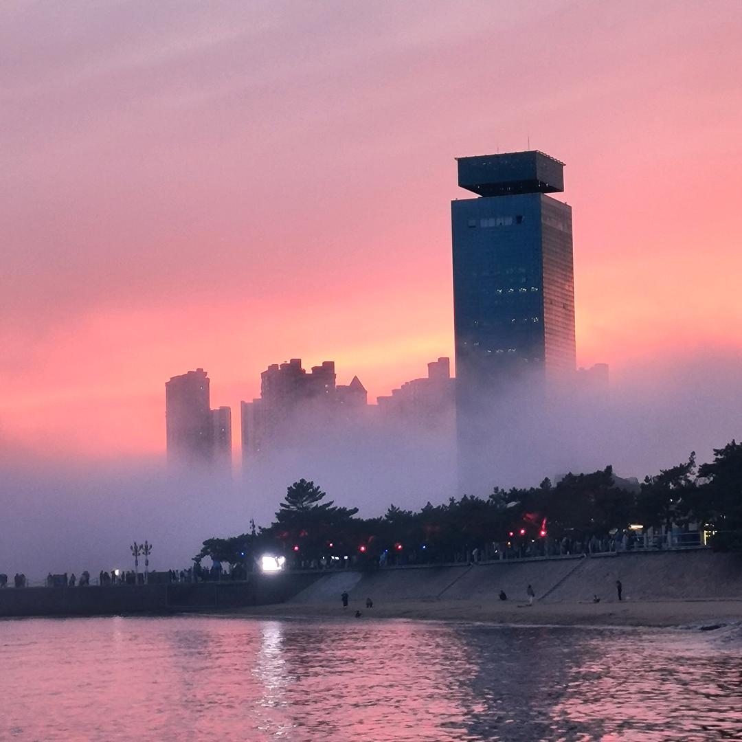 新视界的诗和远方