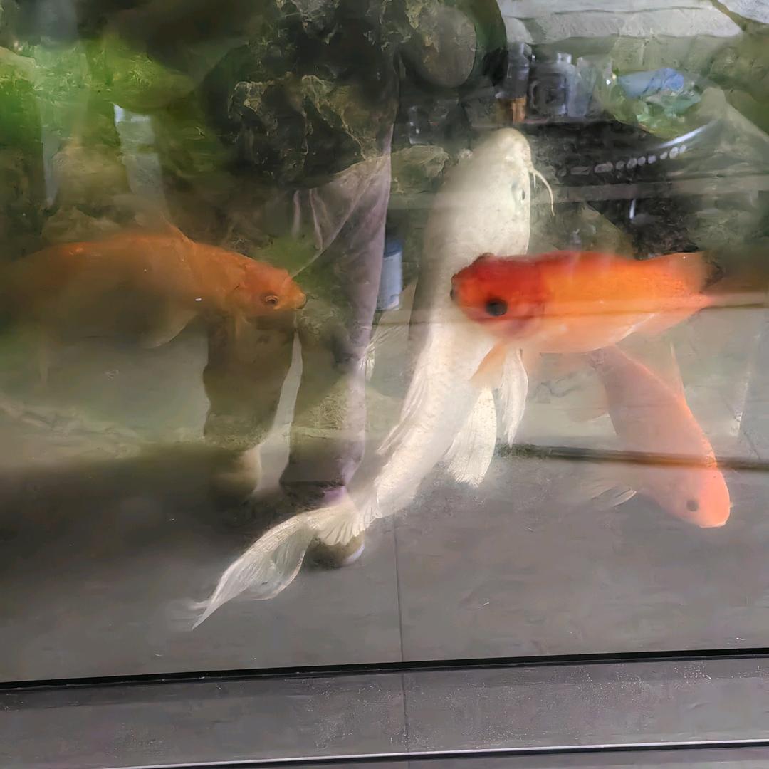 健康的运动