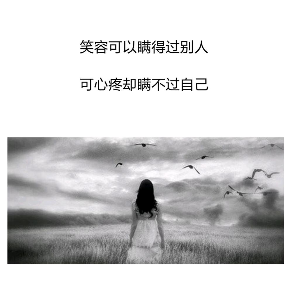 挚