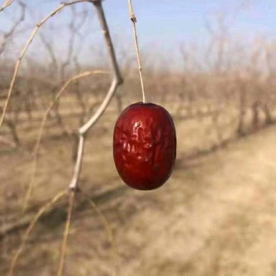 网络情缘