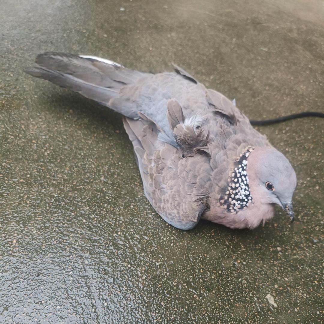 🚬ಇ᭄不拽怎么赢࿐