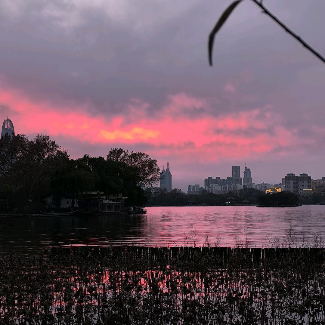顽固派出来的诸天观光员