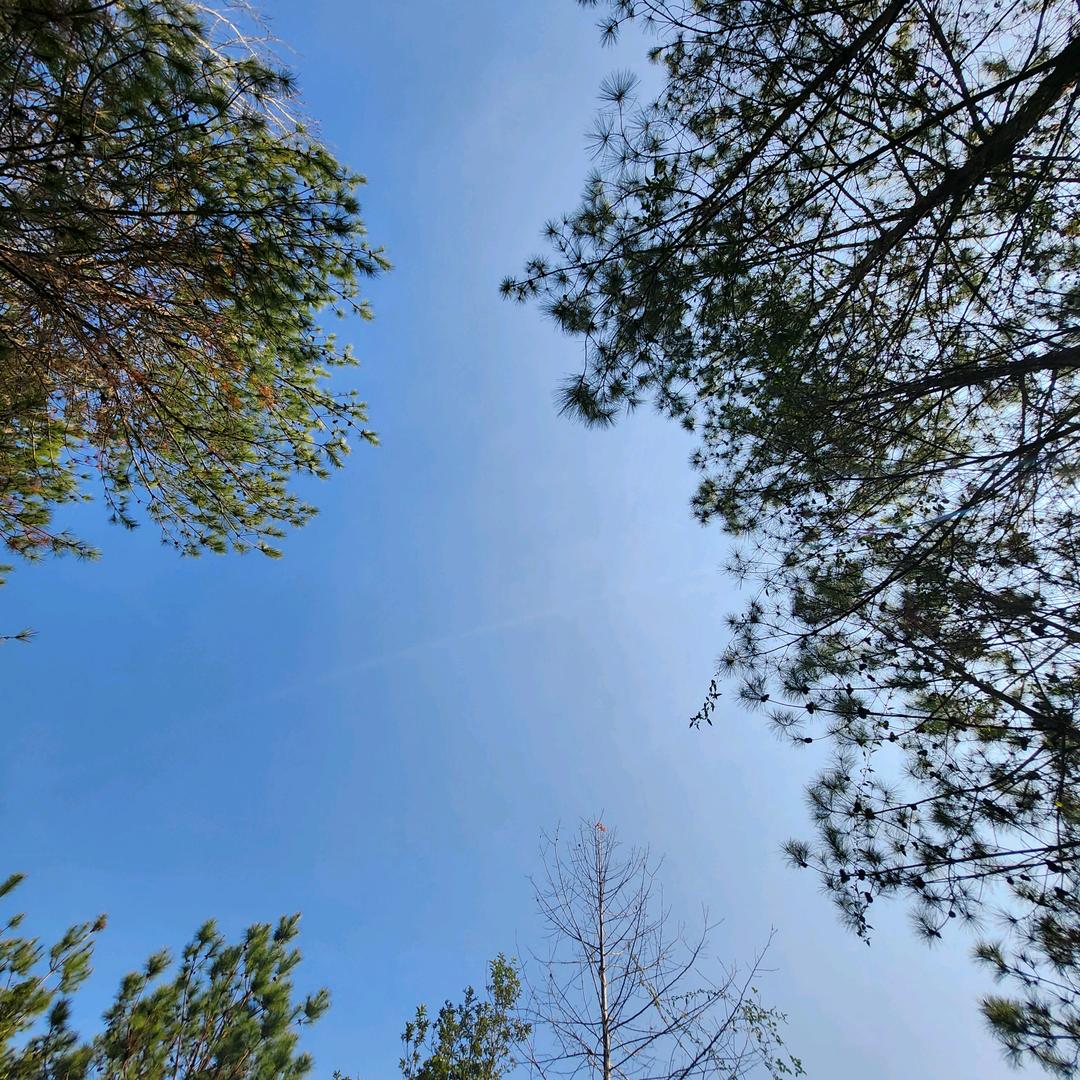 小幻科技