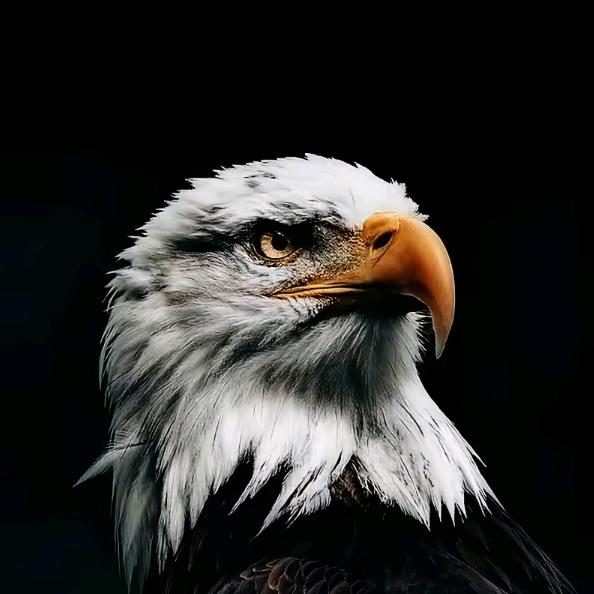 咸阳 娱乐合伙人